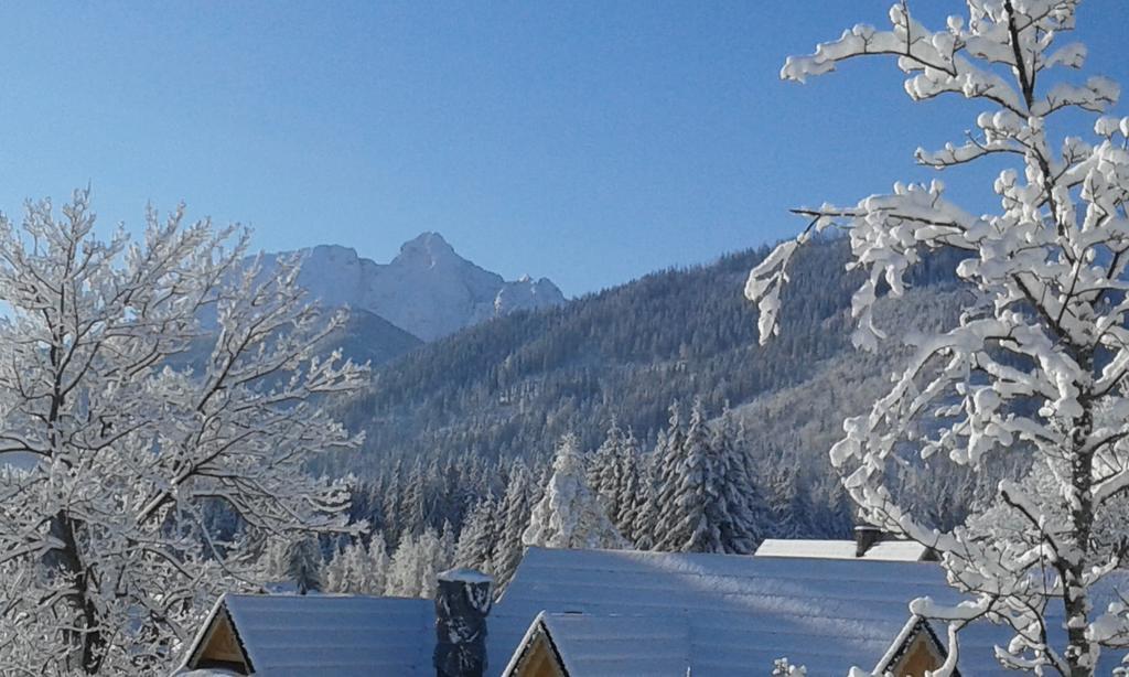 Dom Na Groniu Villa Kościelisko Exteriör bild